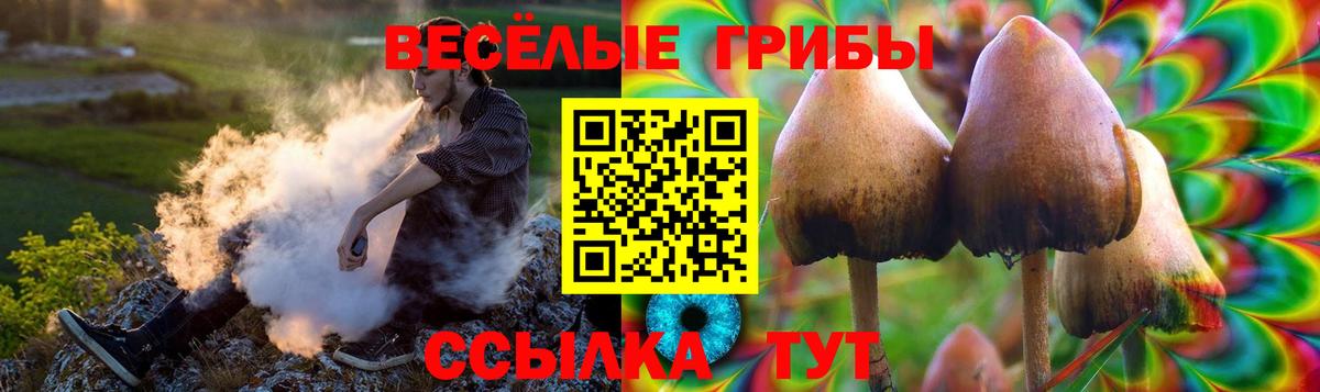Галлюциногенные грибы GOLDEN TEACHER Елец